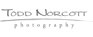 Todd Norcott Photography